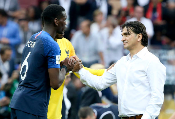 动诠释了何 动诠释了何